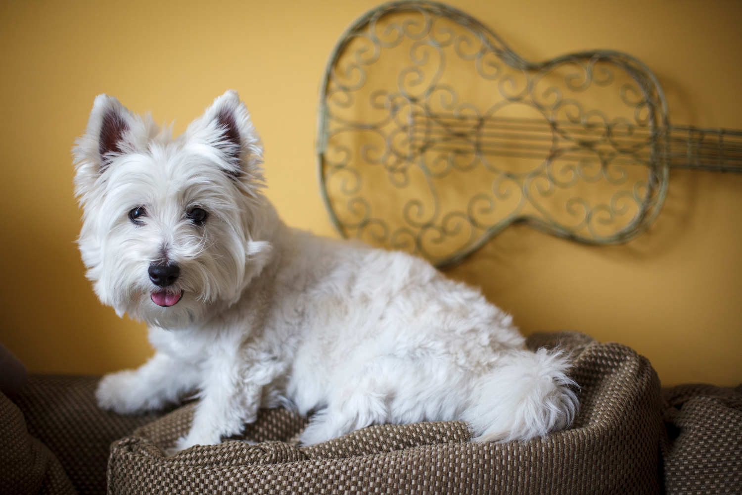 Palmer Family Photos 3